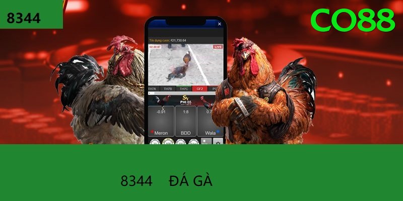 Đá Gà Trực Tiếp - co88 - Download